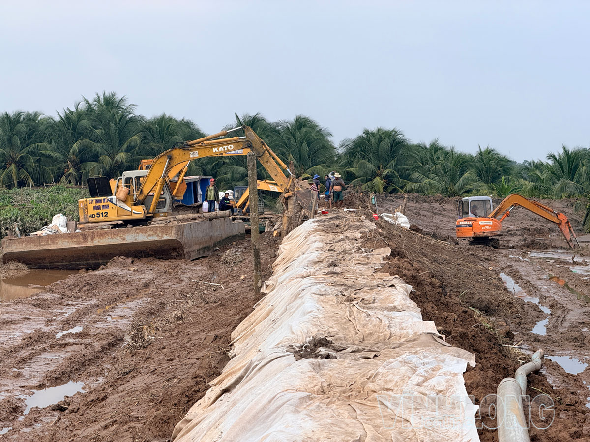 Lực lượng chức năng phối hợp cùng người dân địa phương khẩn trương đắp đê, gia cố các đoạn bờ bao bị vỡ tại cồn Cái Gà.