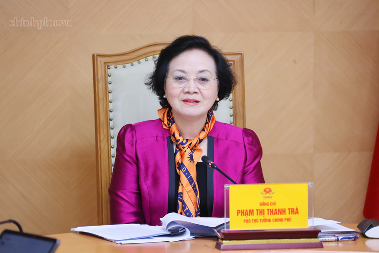 Phó Thủ tướng Phạm Thị Thanh Trà phát biểu tại buổi làm việc - Ảnh: chinhphu.vn/Thu Giang

