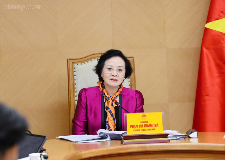 Phó Thủ tướng cho ý kiến vào các nội dung tại buổi làm việc - Ảnh: chinhphu.vn/Thu Giang

