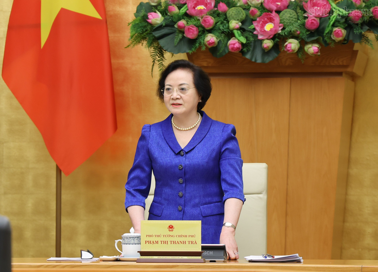 Bí thư Trung ương Đảng, Phó Thủ tướng Phạm Thị Thanh Trà phát biểu tại phiên họp Ban Chỉ đạo Nhà nước về du lịch - Ảnh: chinhphu.vn/Thu Giang

