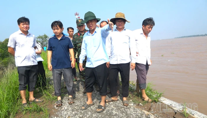 Khảo sát, khắc phục sự cố sạt lở đê Cồn Cái Gà, xã Chợ Lách