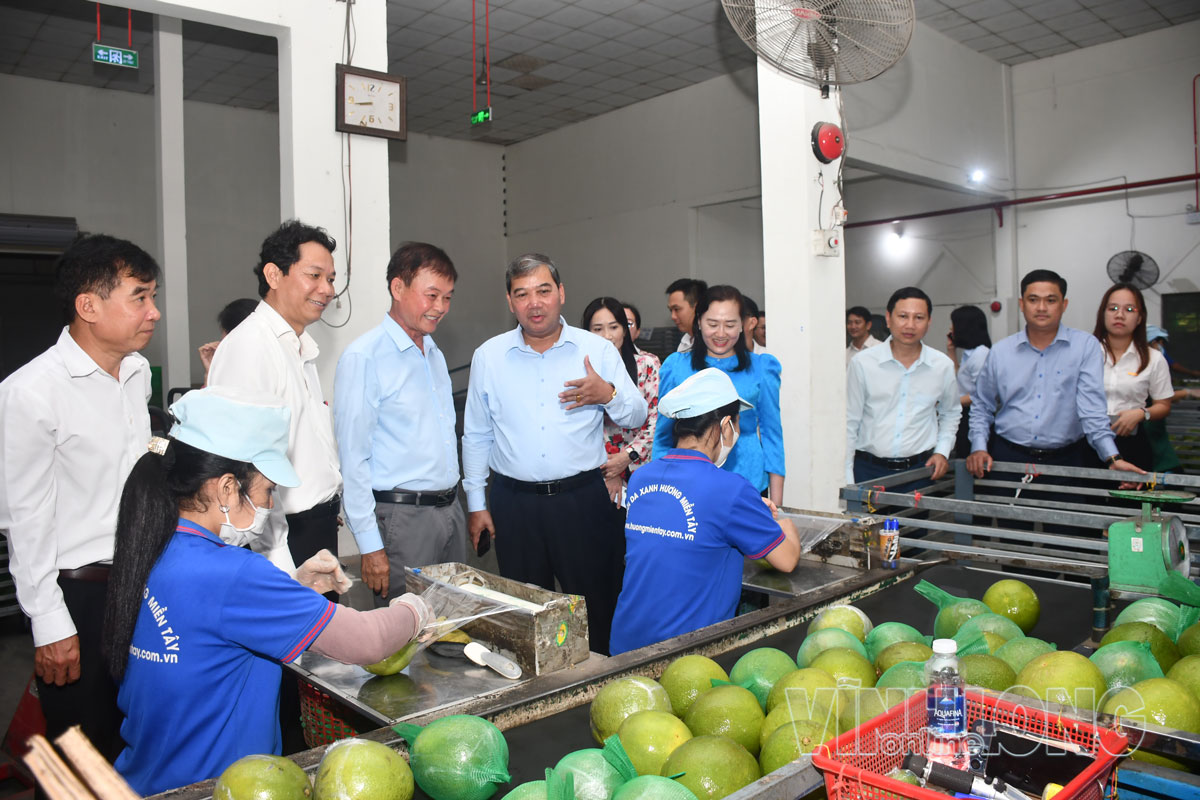 Đồng chí Kim Ngọc Thái - Phó Bí thư Tỉnh ủy, Chủ tịch Ủy ban MTTQ Việt Nam tỉnh Vĩnh Long cùng đại biểu tham quan Công ty TNHH MTV XNK Nông sản Hương Miền Tây.
