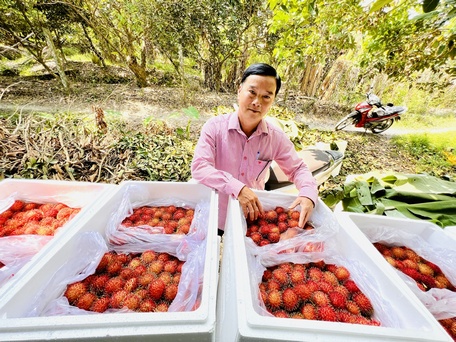 Nhiều chủ trương, chính sách được ban hành, tạo điều kiện thúc đẩy kinh tế tập thể phát triển.