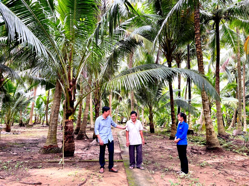 “Dân vận khéo” trong lĩnh vực phát triển kinh tế đã góp phần thiết thực nâng cao đời sống Nhân dân.