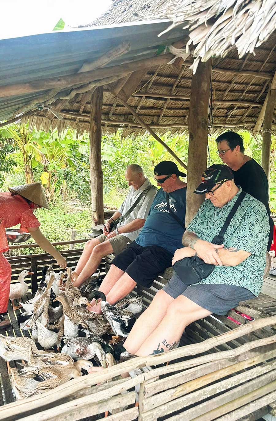 Mới đi vào hoạt động hơn một tháng nay, “massage vịt” của nhà vườn Phương My mang đến cho du khách nhiều trải nghiệm thú vị.  Ảnh: Hợp tác xã Du lịch nông nghiệp cồn Sơn