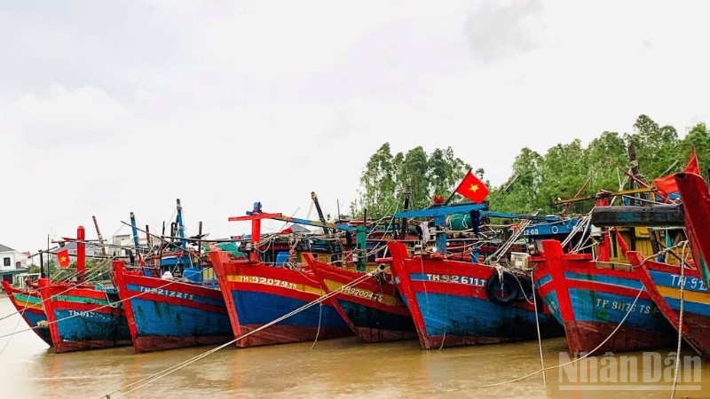Hiện bốn địa phương Quảng Ninh, Hải Phòng, Hưng Yên và Ninh Bình đã ban hành lệnh cấm biển.
