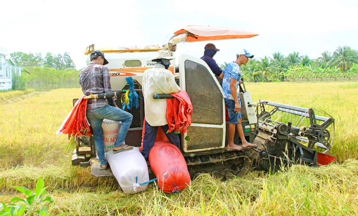 Ngành Nông nghiệp tỉnh: Đồng bộ giải pháp để về đích