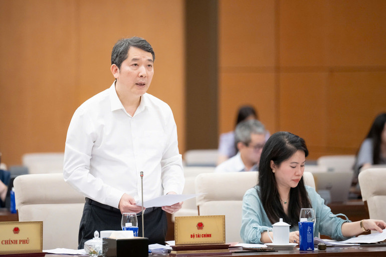 Thứ trưởng Tài chính Cao Anh Tuấn trình bày tờ trình dự án Luật. (Ảnh: DUY LINH)