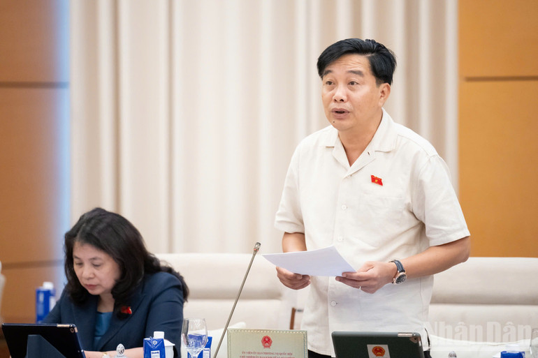 Phó Chủ nhiệm Ủy ban Kinh tế và Tài chính Nguyễn Minh Sơn trình bày báo cáo thẩm tra. (Ảnh: DUY LINH)