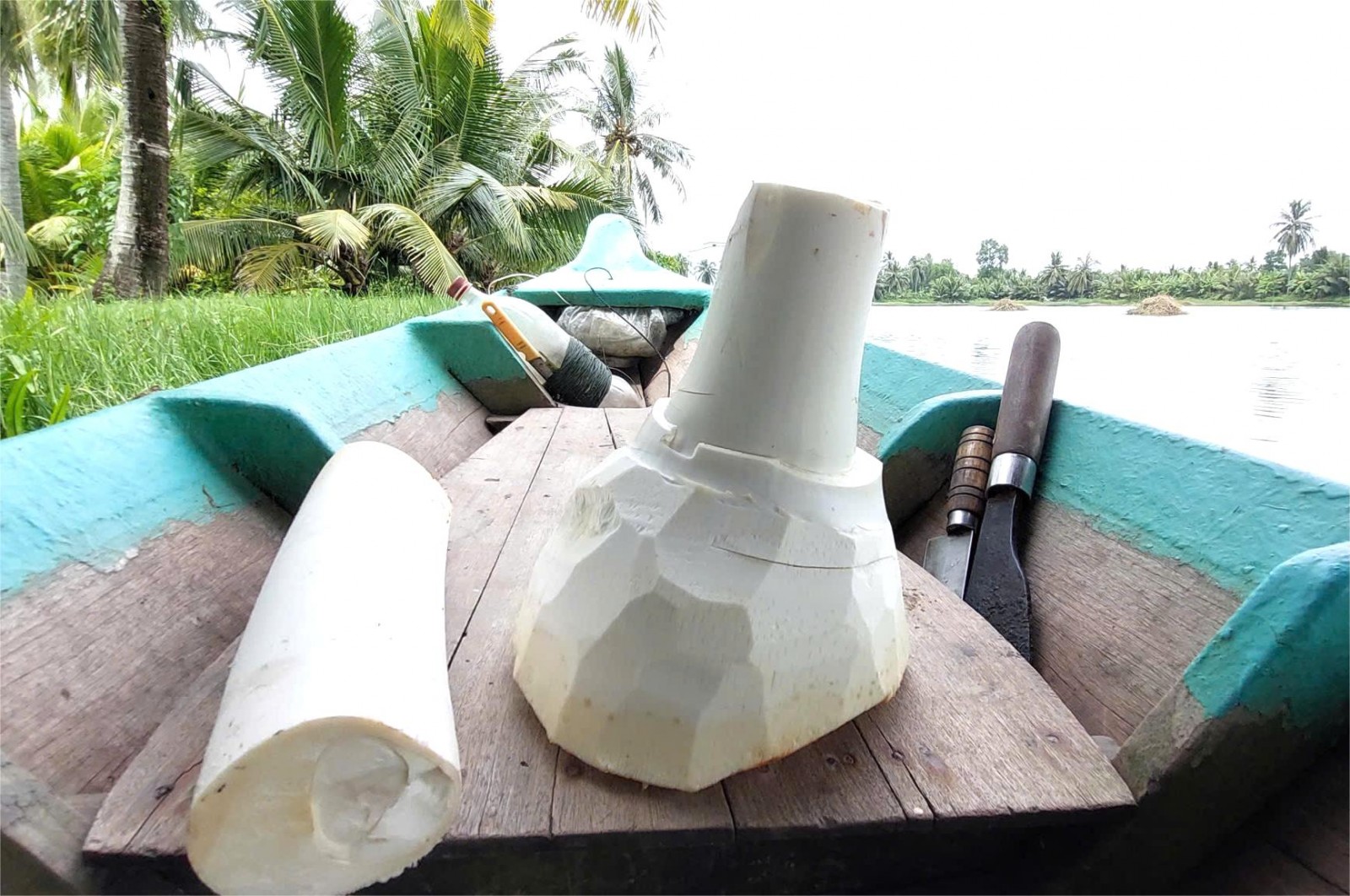 Củ hủ dừa vừa thu hoạch có màu trắng nõn.