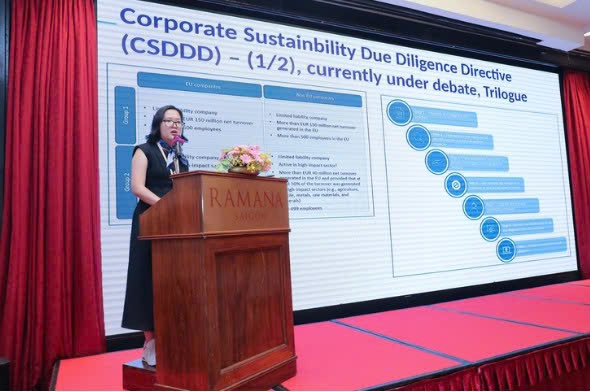 Minh Châu tham gia phát biểu trong các hội thảo về phát triển bền vững tại Việt Nam (năm 2023-2024)