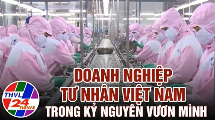 Doanh nghiệp tư nhân Việt Nam trong kỷ nguyên vươn mình