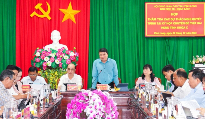 Thẩm tra các dự thảo nghị quyết trình tại Kỳ họp chuyên đề thứ hai HĐND tỉnh