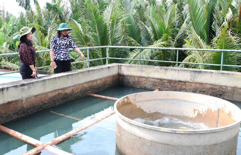Phó Chủ tịch HĐND tỉnh- Lê Thị Thúy Kiều khảo sát Trạm cấp nước Mỹ Cẩm.
