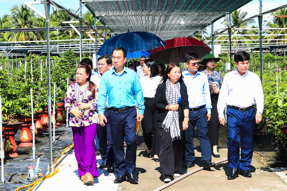 Phó Bí thư Tỉnh ủy, Chủ tịch UBND tỉnh- Lữ Quang Ngời cùng đoàn công tác khảo sát các mô hình kinh tế địa phương.