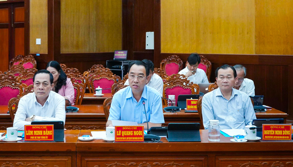 Đồng chí Lữ Quang Ngời- Phó Bí thư Tỉnh uỷ, Chủ tịch UBND tỉnh phát biểu tại hội nghị.