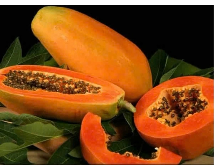 Đu đủ: Trái cây quen thuộc mà công dụng không ngờ