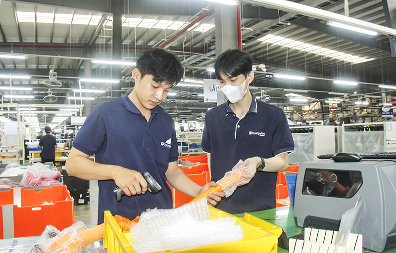 Cộng đồng doanh nghiệp của tỉnh đóng góp tích cực phát triển kinh tế- xã hội, tạo công ăn việc làm ổn định cho người lao động. Ảnh: Trần Phước