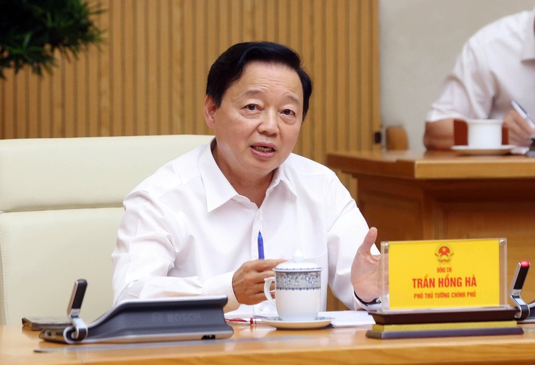Phó Thủ tướng Chính phủ Trần Hồng Hà đề xuất hai cách triển khai - Ảnh: VGP/Nguyễn Hoàng

