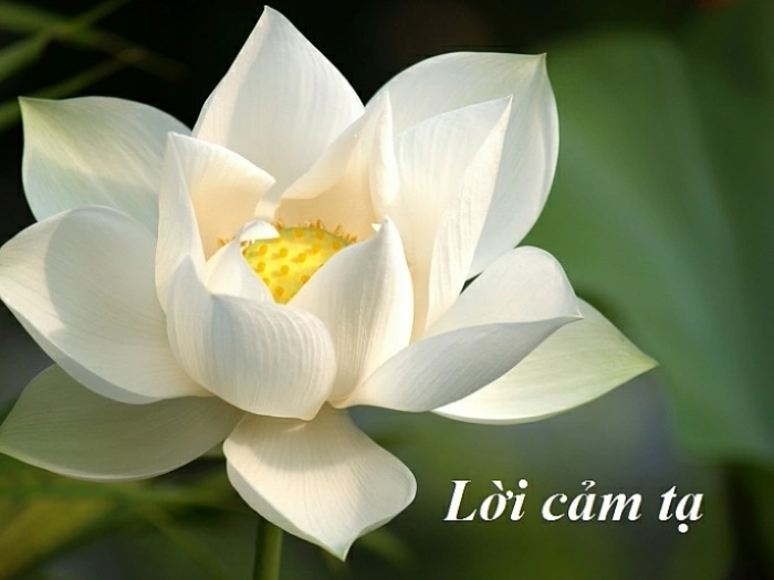 Lời cảm tạ
