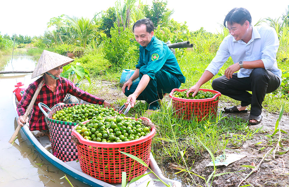 Phát triển kinh tế nông thôn tạo nền tảng vững chắc cho xây dựng NTM.