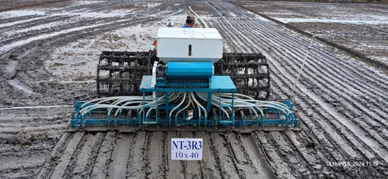 Công nghệ gieo sạ kết hợp vùi phân thuộc Đề án 1 triệu ha lúa chất lượng cao - Ảnh: VGP/LS


