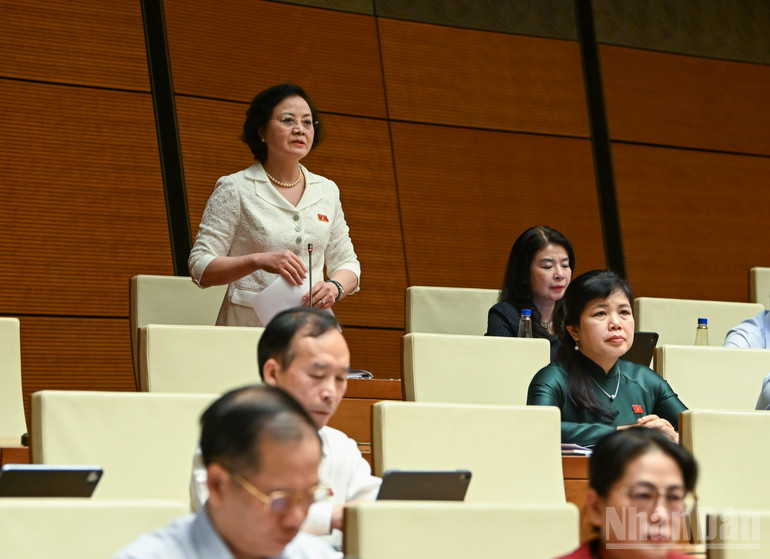 Phó Thủ tướng Chính phủ Phạm Thị Thanh Trà phát biểu tại phiên họp. (Ảnh: DUY LINH)