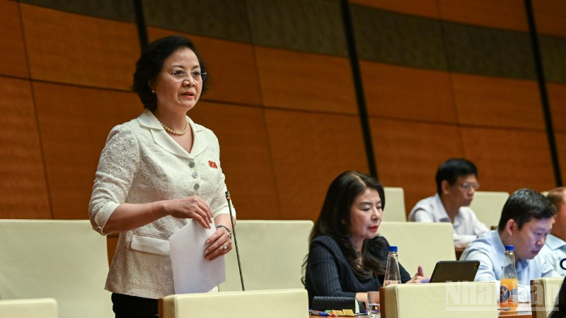 Phó Thủ tướng Chính phủ Phạm Thị Thanh Trà phát biểu tại phiên họp. (Ảnh: DUY LINH)