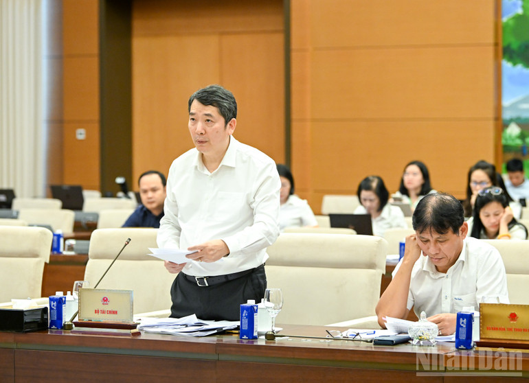 Thứ trưởng Tài chính Cao Anh Tuấn trình bày tờ trình dự án Luật. (Ảnh: DUY LINH)