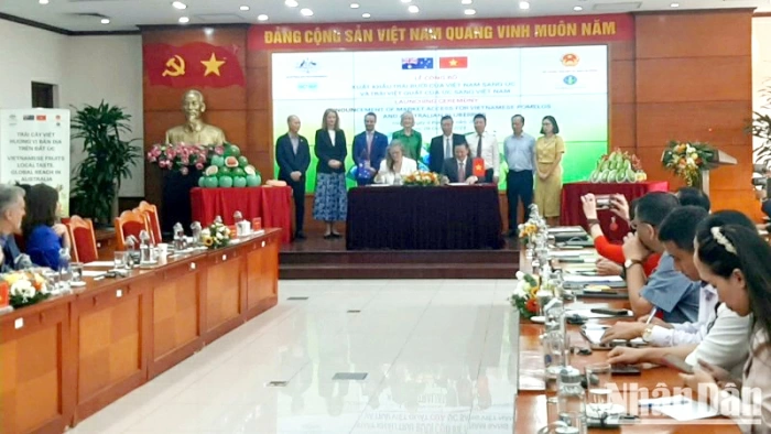 Công bố xuất khẩu trái bưởi của Việt Nam sang Australia và trái việt quất của Australia sang Việt Nam