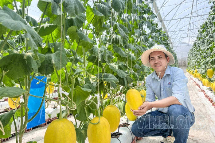 Kỳ 2: Đưa công nghệ vào sản xuất nông nghiệp