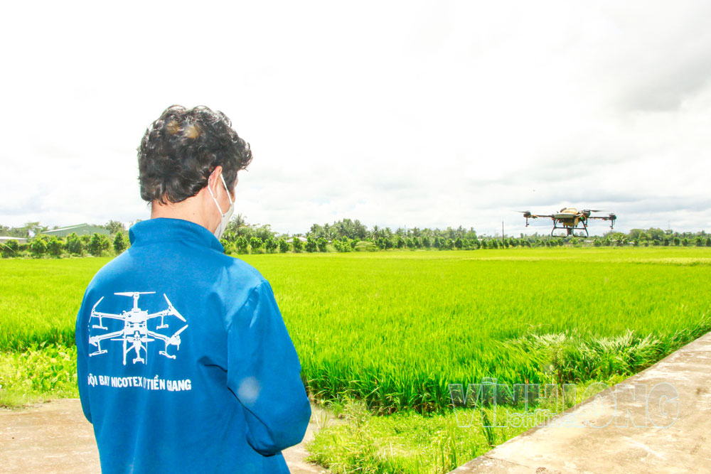 Nông dân xã Trung Hiệp ứng dụng thiết bị bay không người lái trong sản xuất nông nghiệp. Ảnh: NGUYÊN KHANG

