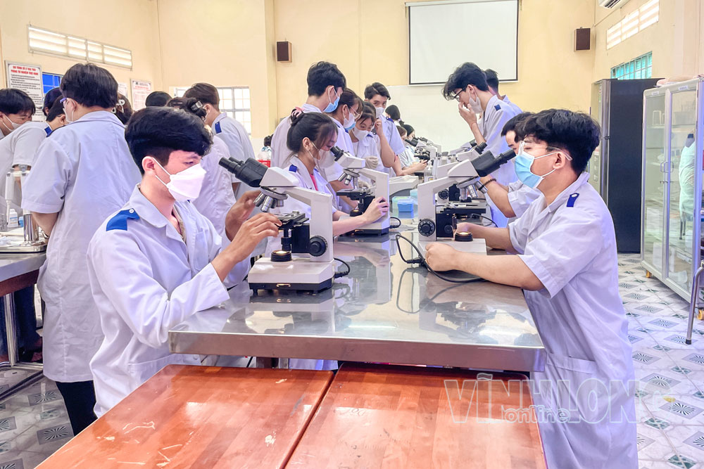 Sinh viên Trường ĐH Cửu Long thực hành trong phòng thí nghiệm, nâng cao năng lực ứng dụng khoa học, công nghệ.

