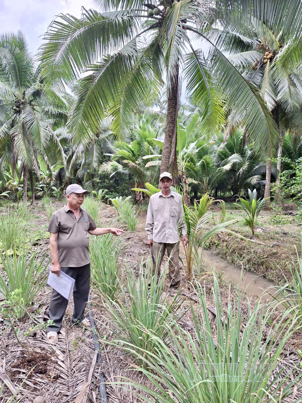 Ông Đặng Minh Hoàng gặp gỡ, trao đổi với hộ vay vốn tín dụng chính sách. Ảnh: PV


