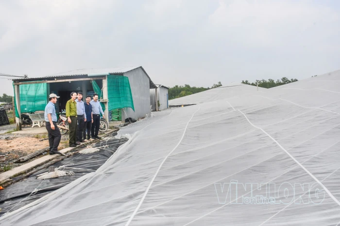 Bảo Thạnh phát triển kinh tế biển và xây dựng nông thôn xanh