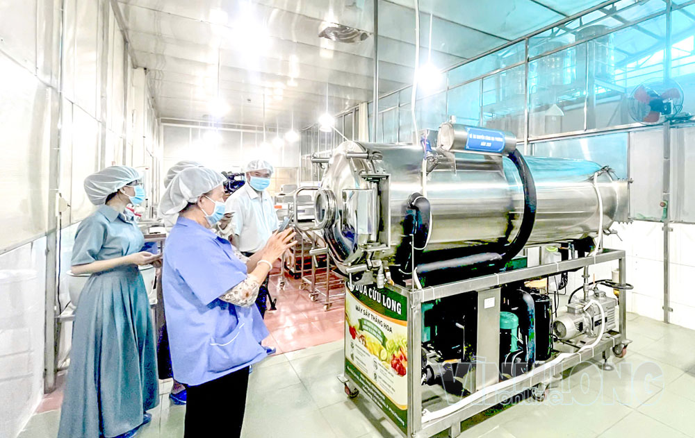 Hỗ trợ doanh nghiệp ứng dụng máy móc thiết bị tiên tiến vào sản xuất. Trong ảnh: Chương trình khuyến công hỗ trợ Công ty TNHH Chế biến Sản phẩm dừa Cửu Long, phường Phú Khương ứng dụng máy móc tiên tiến vào chế biến thạch dừa sấy. Ảnh: CẨM TRÚC

