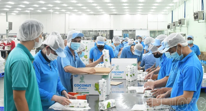 Doanh nhân ngành dừa khơi dậy sức bật kinh tế