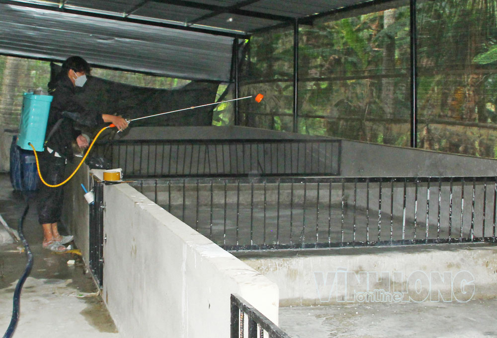 Người chăn nuôi cần thực hiện biện pháp an toàn sinh học để chủ động phòng, chống dịch bệnh.

