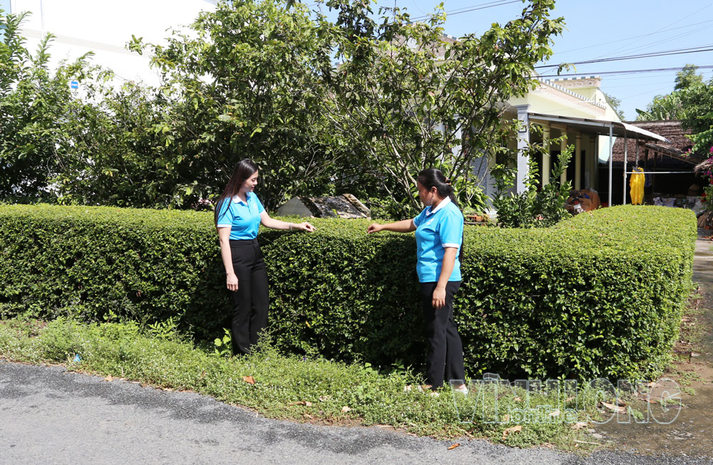 Trên tuyến đường thuộc ấp Giồng Đình, hội viên phụ nữ và người dân chú trọng thực hiện vệ sinh môi trường, làm hàng rào cây xanh, tạo cảnh quan nông thôn mới sạch, đẹp. Ảnh: NGỌC XOÀN