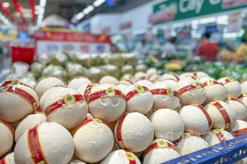 Sản phẩm dừa tươi uống nước và dừa gọt vỏ tiện lợi mang thương hiệu C.D.K, được chứng nhận OCOP 3 sao có mặt trên thị trường.
