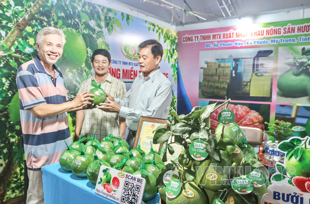 Bưởi da xanh của Công ty TNHH MTV Xuất nhập khẩu nông sản Hương Miền Tây Bến Tre bày bán tại hội chợ xã Phước Mỹ Trung, tháng 9/2026.

