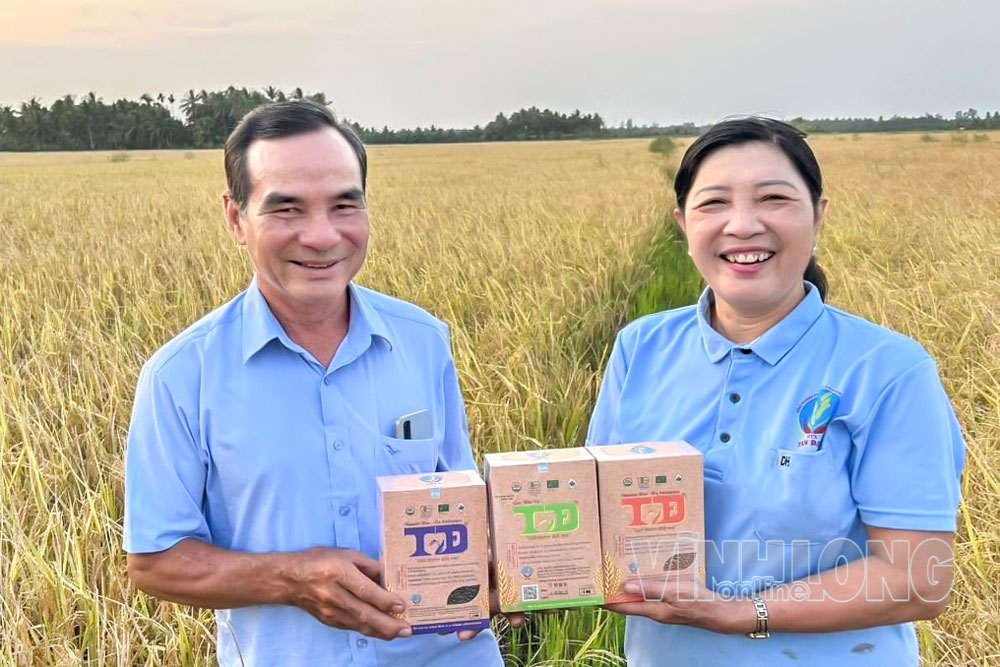 Sản phẩm gạo của HTX Tấn Đạt (xã Trung Ngãi) được phát triển theo hướng nâng cao chất lượng, xây dựng thương hiệu và gia tăng giá trị trên thị trường.
