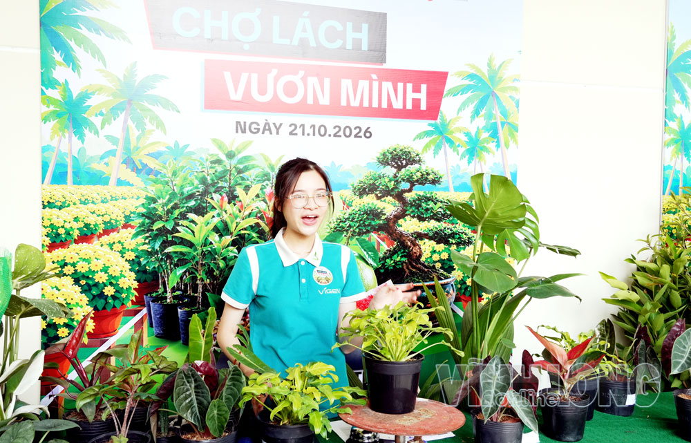 Mô hình “Xã thương mại điện tử - Chợ Lách vươn mình” góp phần quảng bá sản phẩm địa phương, mở rộng kênh tiêu thụ hàng hóa trên nền tảng số.
Ảnh:
KIỀU DUYÊN