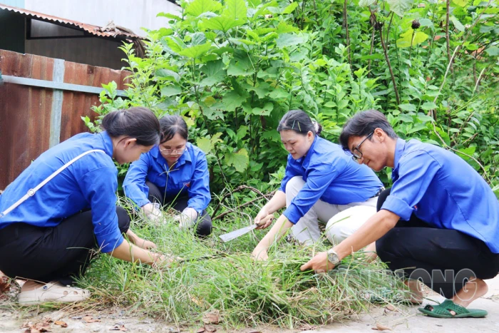 Tuổi trẻ Tân Ngãi phát huy tinh thần tiên phong, trách nhiệm