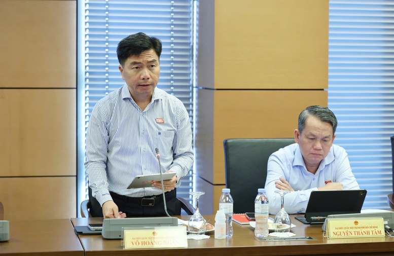 Đại biểu Quốc hội Võ Hoàng Ngân (TPHCM) phát biểu tại thảo luận Tổ