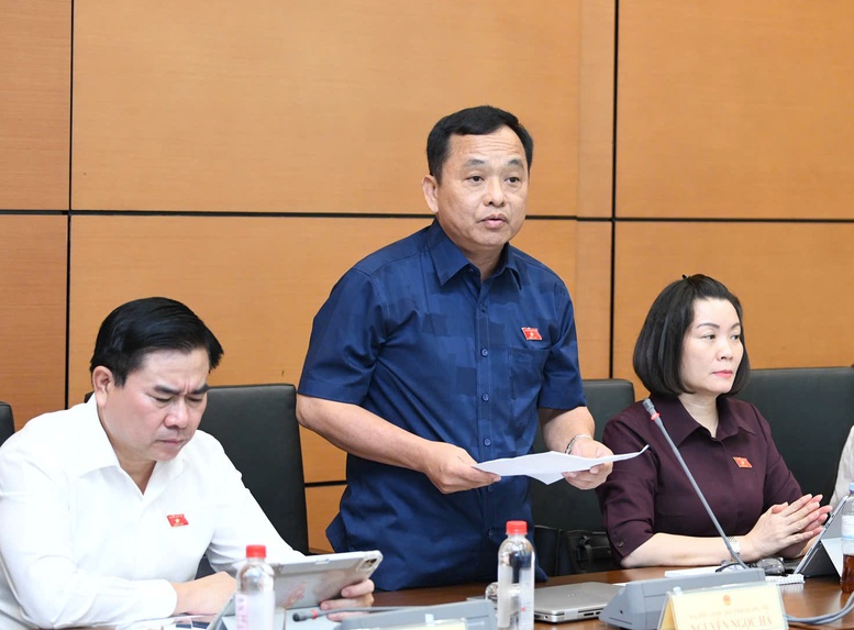 Đại biểu Quốc hội Nguyễn Ngọc Hà (Quảng Trị) phát biểu tại thảo luận Tổ

