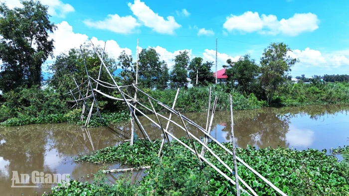 Những nhịp cầu tre trong ký ức