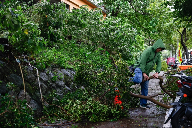 Bão Champi khiến cây cối ngã đổ tại Đài Bắc hôm 24/10. ẢNH: REUTERS