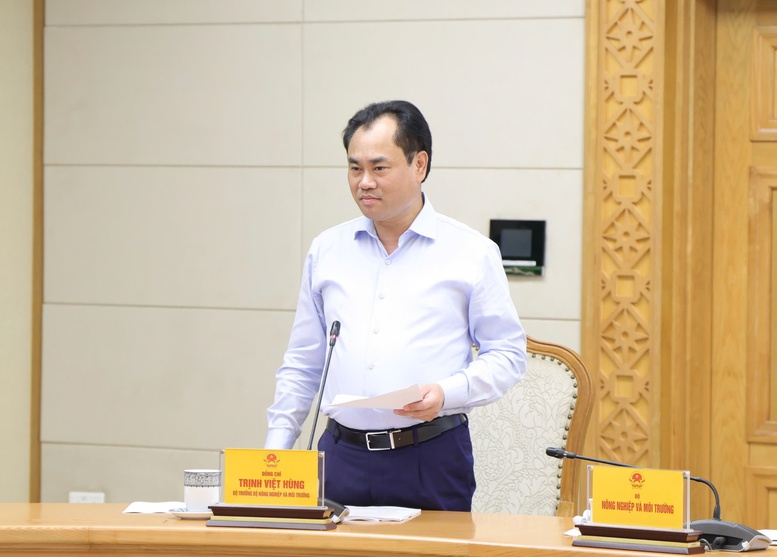 Các đại biểu tham dự cuộc họp - Ảnh: chinhphu.vn/Gia Huy

