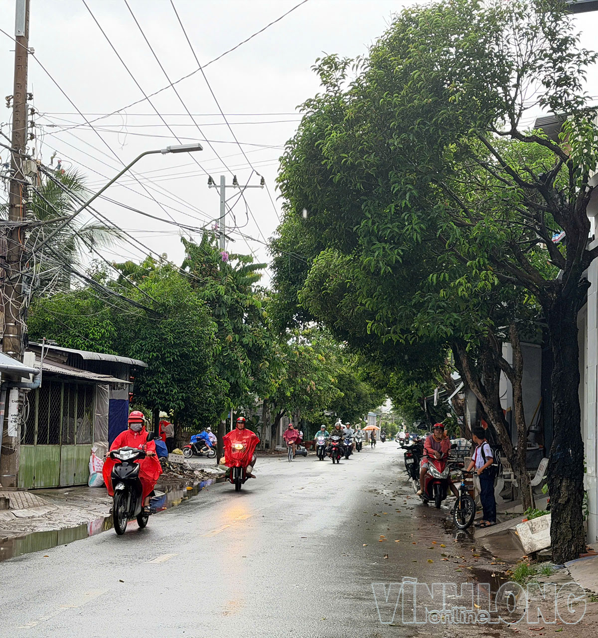 Người dân cần chủ động phòng tránh lốc, sét, mưa đá và gió giật mạnh trong các cơn dông.

